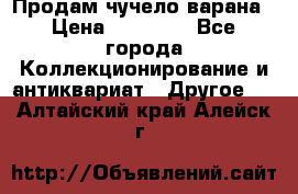 Продам чучело варана › Цена ­ 15 000 - Все города Коллекционирование и антиквариат » Другое   . Алтайский край,Алейск г.